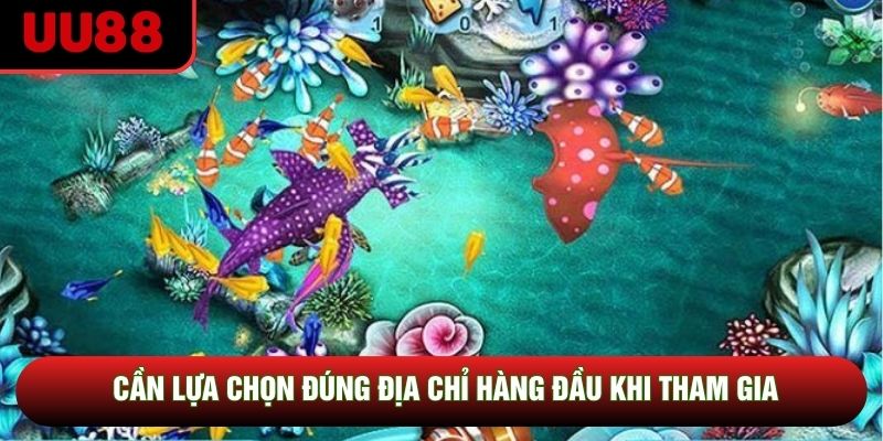 Cần lựa chọn đúng địa chỉ hàng đầu khi tham gia Cần lựa chọn đúng địa chỉ hàng đầu khi tham gia