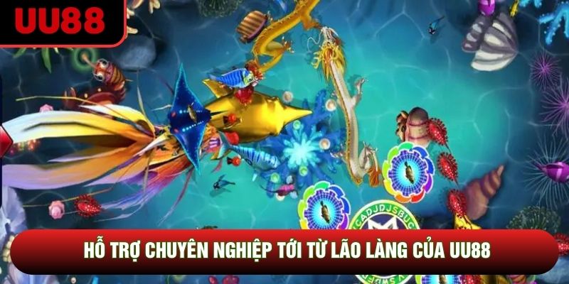 Hỗ trợ chuyên nghiệp tới từ lão làng của UU88